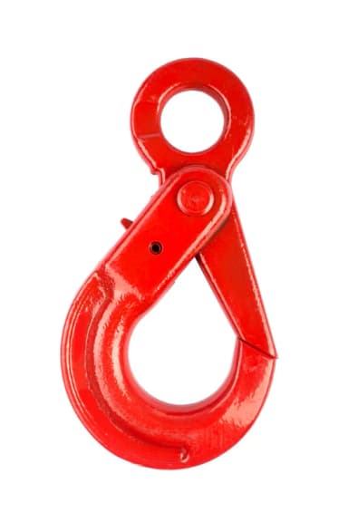 Крюк самозакрывающийся с проушиной TOR 5,3 т (Q) — фото 1